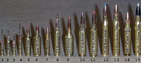 Bullet Caliber Chart By Size Pin On пуля