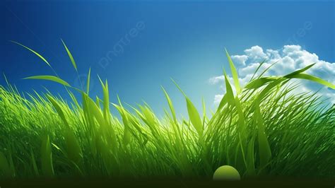 Grass Nature Green Grass Background, Grass, Nature, Green Grass ...