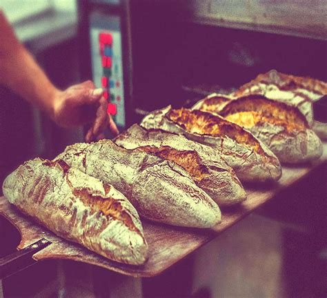 Bread and Companatico | Bread, Sourdough bread, Bread recipes