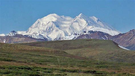 Denali Day Tour | Denali Village | National Park Bus | Highlights