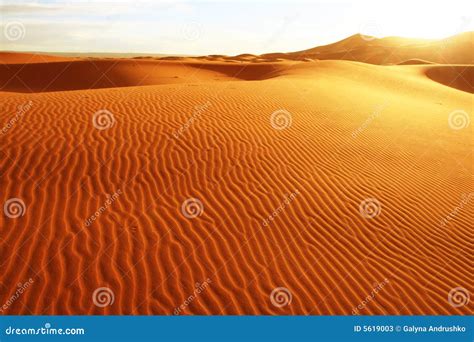 Sand desert stock image. Image of lonely, summit, journey - 5619003