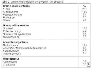 Bacterial liver abscess – causes, symptoms, treatment – Healthy Food ...