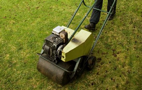 Why Aeration is Essential to Long-Term Lawn Health