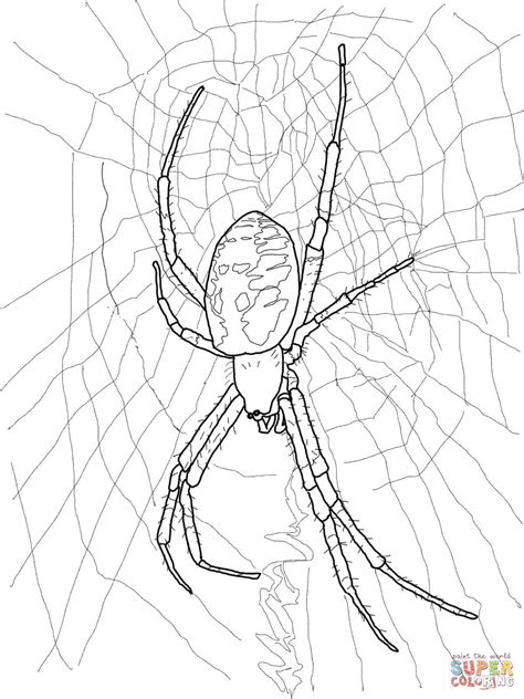 Gambar Black Yellow Garden Spider Coloring Page Free Printable Click Pages di Rebanas - Rebanas