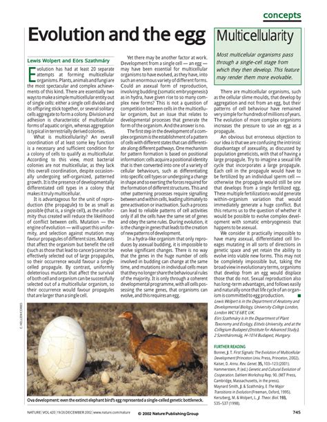 (PDF) Multicellularity: Evolution and the egg