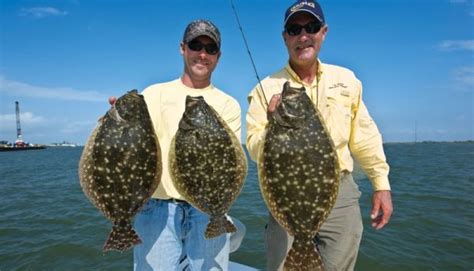 Trophy Gulf Flounder | Fishing pics, Saltwater fishing, Fish