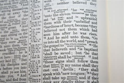 Cambridge KJV-RV Interlinear Bible Review - Bible Buying Guide