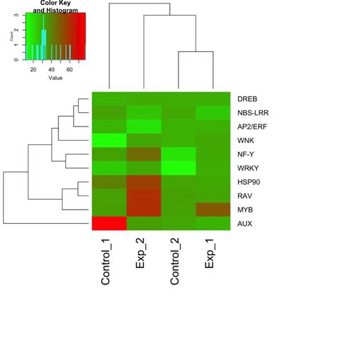 Gene Expression Heat Map