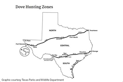 Dove hunting season approaches for north, central zones - Texas Farm Bureau