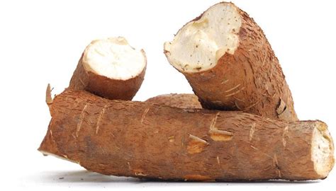 Cassava | Description, Origin, Poison, Taste, Benefits, & Facts ...