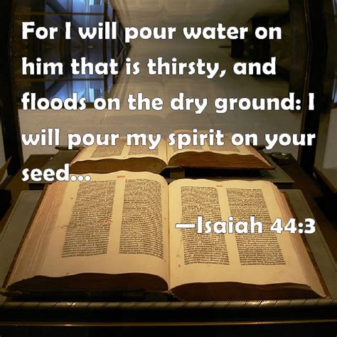 Isaiah 44:3 For I will pour water on him that is thirsty, and floods on ...