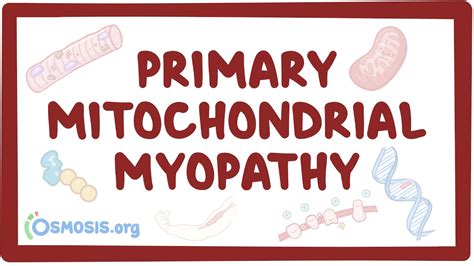 Primary mitochondrial myopathy - causes, symptoms, diagnosis, treatment, pathology - YouTube