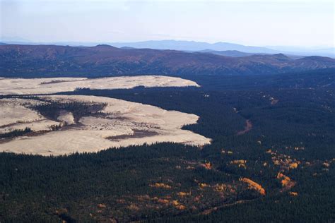 Top 5 U.S. National Parks With Sand Dunes - The National Parks Experience