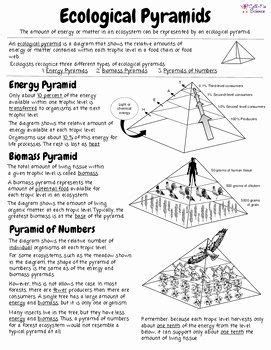 Ecological Pyramids Worksheet Answer Key Fresh Ecological Pyramids by Cell Fie Science ...