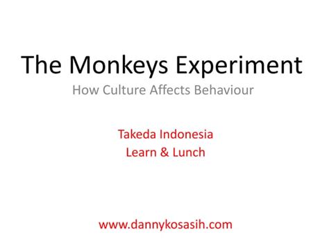 The monkey experiment | PPT