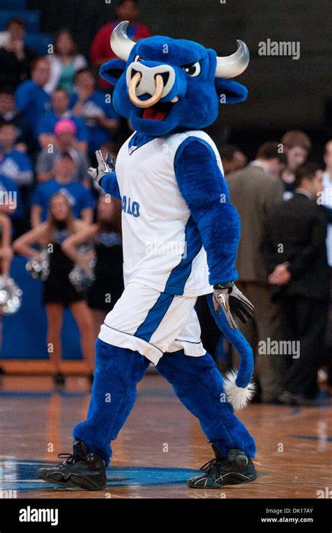 Jan. 16, 2011 - Buffalo, New York, United States of America - Buffalo Bulls mascot ''Victor E ...