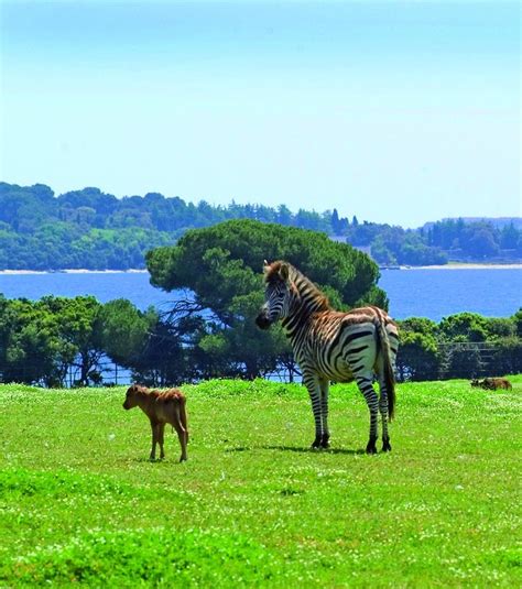 Brijuni National Park