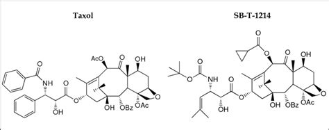 Chemical structure of taxol (A) and new-generation taxoid, SB-T-1214 (B ...