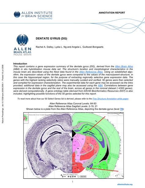 (PDF) Dentate Gyrus