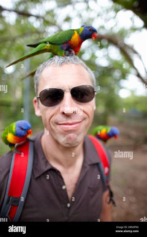 Tourist with Rainbow Lorikeets, Horseshoe Bay, northcoast of Magnetic island, Great Barrier Reef ...