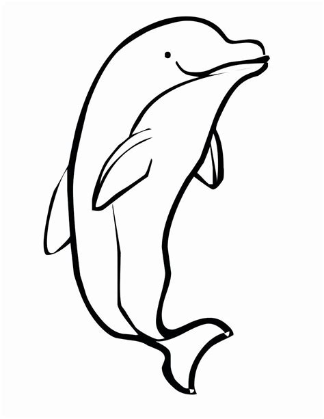 Cute Baby Dolphin Coloring Pages at GetColorings.com | Free printable colorings pages to print ...