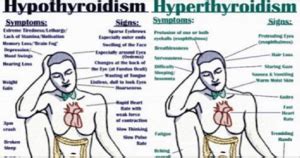 Here Is Everything You Should Know about Thyroid Disorders!