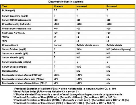 Azotemia causes, types, symptoms, diagnosis and azotemia treatment