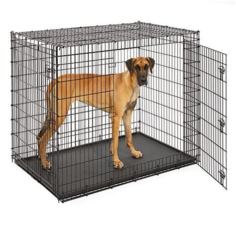 Xxl Dog Crate Pan Best Deal | predictnow.ai