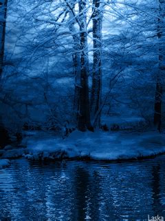 ffsreflections | Snowy forest, Winter forest, Nature
