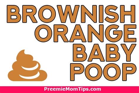 Baby Poop Guide: Color, Consistency, and Beyond!