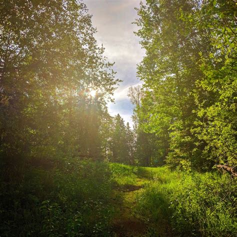 Jackfish Lake Campground - Athabasca, AB T9S 1M6, Canada