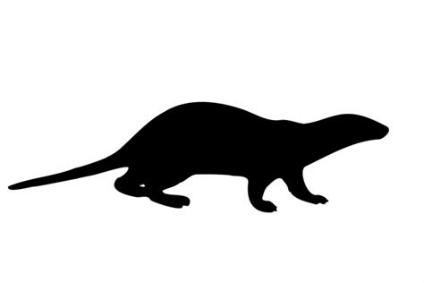 Otter Silhouette Clipart Free Stock Photo - Public Domain Pictures