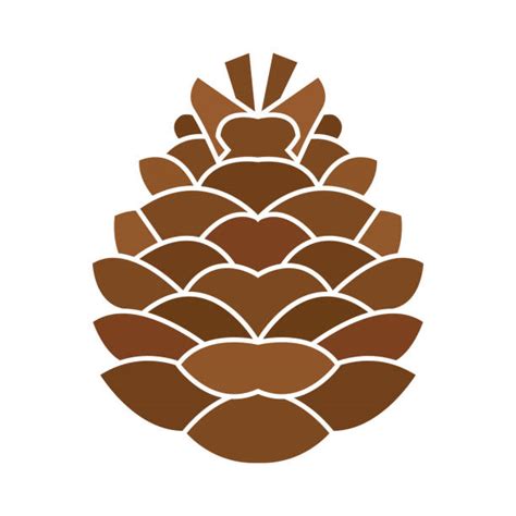 Pine Cone Logo Illustrations, Royalty-Free Vector Graphics & Clip Art - iStock