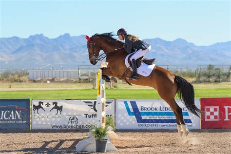 How To Get Ready For A Horse Show - Horses & Foals