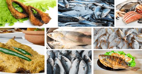 7 Best Bangladeshi Fish Market in London | MyBangla24