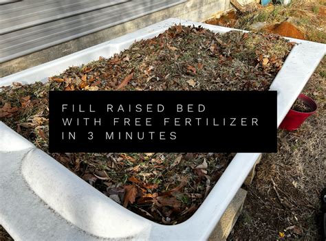 Fill Raised Bed with free fertilizer in 3 minutes – Brian Livesay ...