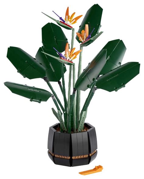 LEGO 10289 Bird of Paradise joins the Botanical Collection - Jay's Brick Blog