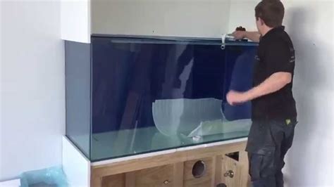 How To Put An Aquarium In The Wall - Aquarium Views