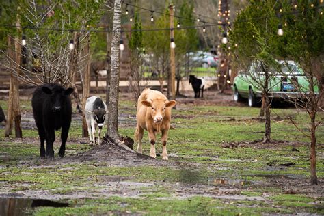 RV Camping on a Farm: 10 Things to Know Before You Go — Compost and ...