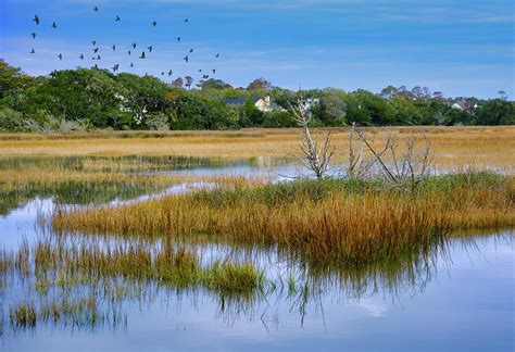 Salt Water Marsh at High Tide Photograph by Darryl Brooks - Pixels