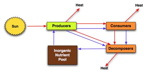 Mr G’s Environmental Systems » 1.2. 4: Flows and Storages