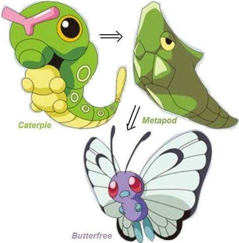 Caterpie Evolution Dragon Type Pokemon, Pokemon Firered, Cute Pokemon ...