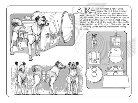 Laika the Space Dog and Sputnik 2 Digital Print - Etsy