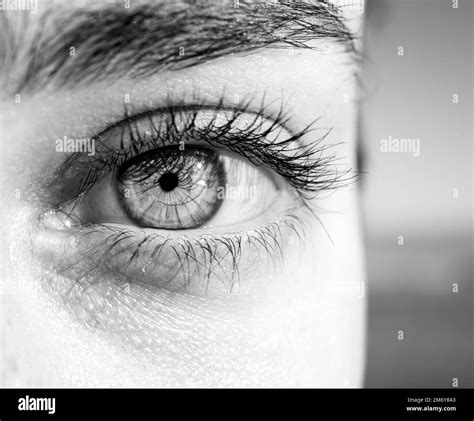 macro photography of a female eye. Human eye texture. eye pupil. Human eyelashes. Brown eye ...