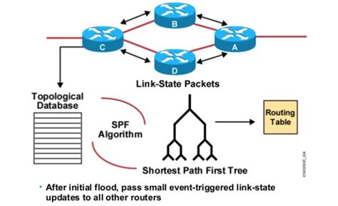 Routing Basics : Distance Vector vs Link State Routing Protocol - Route XP