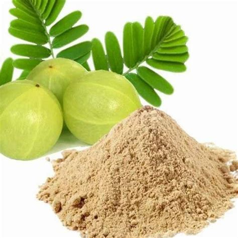 Spray Dried Indian Gooseberry Powder, 25 kg at best price in Coimbatore | ID: 26190440548