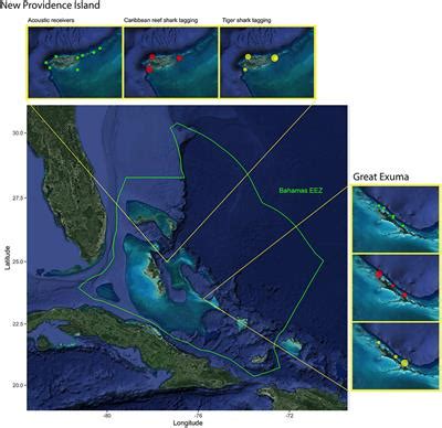 Frontiers | Spatial Connectivity and Drivers of Shark Habitat Use Within a Large Marine ...