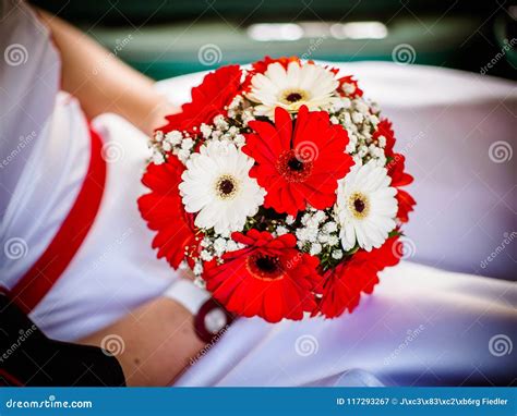 Beautiful Red Wedding Bouquet in Hands of the Bride. Wedding Bouquet of Red Gerberas Stock Image ...