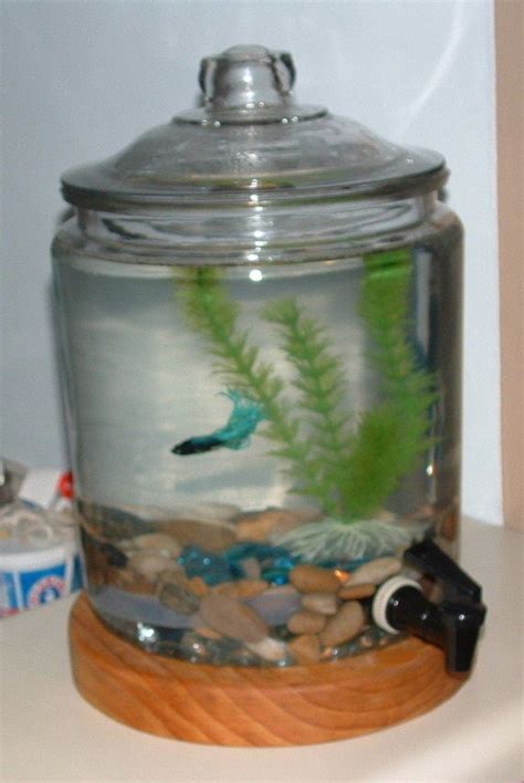 Self cleaning 2 gallon Betta tank. $79.99, via Etsy. | Betta tank, Pet ...