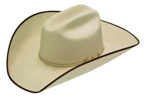 Twister Ruidoso 2X Silver Belly with Brown Trim [T75270277] | Cowboy hats, Western hats, Brown trim